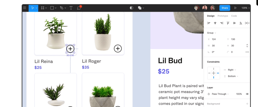 figma bg