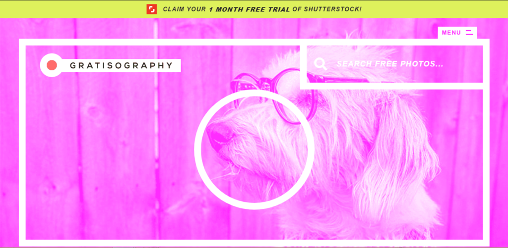gratisography cover