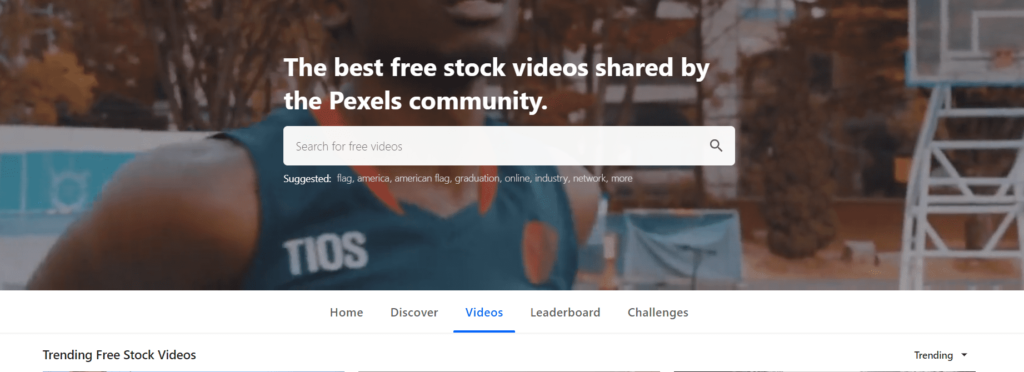 pexels bg